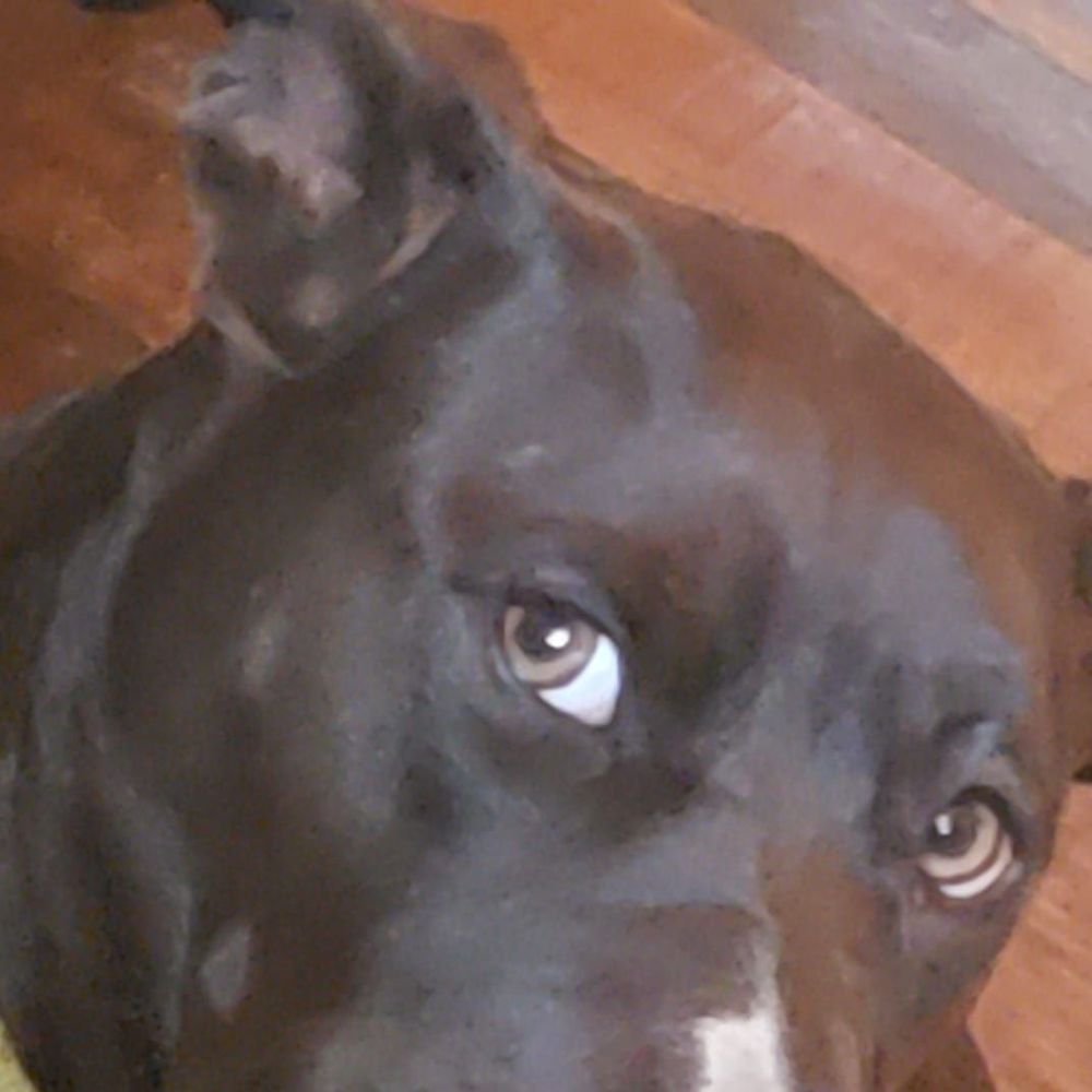 Meet your Posher, Abigail